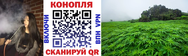 Купить закладку Талдом Альфа ПВП  Псилоцибиновые грибы  ОМГ ОМГ как зайти  АМФ  Марихуана  MDMA  COCAIN  Мефедрон 