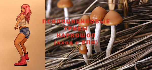 бошки Армянск