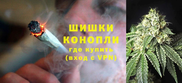 дмт Алзамай