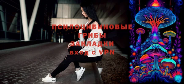 дмт Алзамай