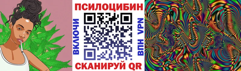 это телеграм  наркотики  Талдом  Галлюциногенные грибы мицелий 